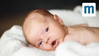 Life with a newborn: what to expect