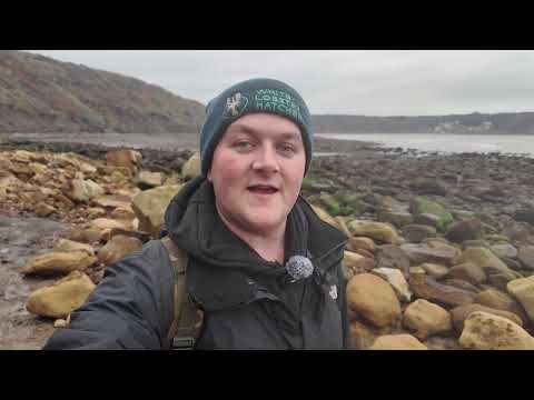 My Dad’s BEST FIND of the Year! Ichthyosaur Bones Wash Up at Low Tide!