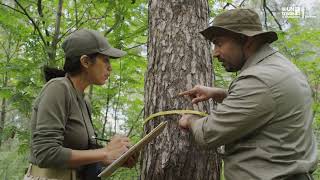 The role of trade and BioTrade in biodiversity conservation