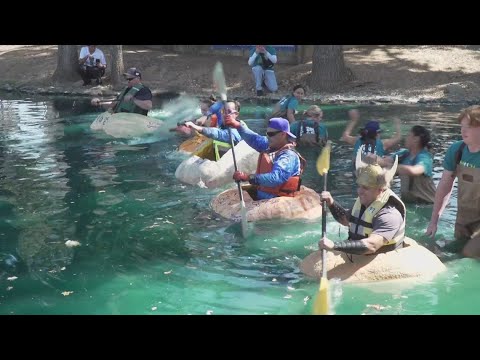 Brave boaters paddle giant pumpkin boats in annual regatta | Elk Grove Giant Pumpkin Festival