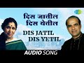 Dis Jatil Dis Yetil Audio Song Asha Bhosle Suresh Wadkar Shapit
