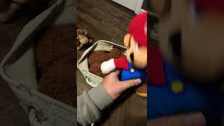 Download lagu Mario Misses The Pool Of Nestle Crunch #shorts mp3