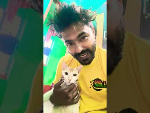 মেলার গান ,,🙃🙃❤️ 🐈 # fair #catlovers 🙃