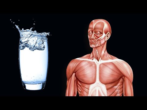 What Happens When You Drink Alkaline Water Every Day