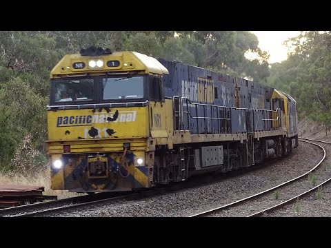 Pacific National 5AM5 @ Belair