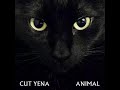 CUT YENA - Die Tryin' (Guy Clark cover) [Audio]