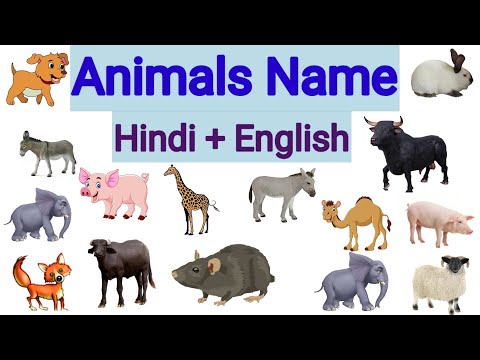 Name of Animals जानवरों के नाम animals name Hindi and English main । janvaron ke naam । animals name