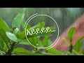 ሙሉቀን መለሰ ባይንሽ ልለፍበት Muluken Melesse Baynish Lilefibet With Lyrics