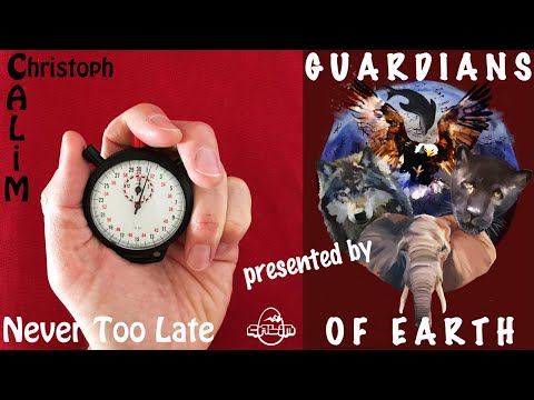 Christoph CALiM - "Never Too Late" (Official Music Video)
