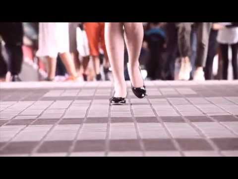 Introduction to Psychology: Social Influence （心理學入門：社會影響力） (Introduction to Psychology: Social Influence （心理學入門：社會影響力）)