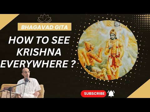 How to see krishna everywhere | class by H.G NARAYANA PADMANABHA DAS | 