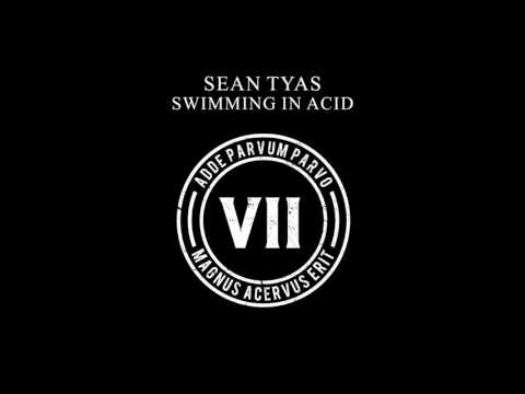 Sean Tyas - Swimming In Acid