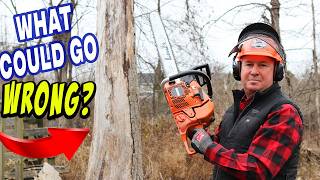 The Most Dangerous Tree I've Ever Removed!!