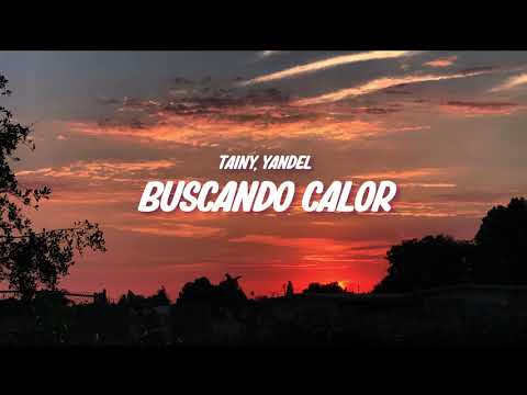Tainy, Yandel - Buscando Calor (LETRA)