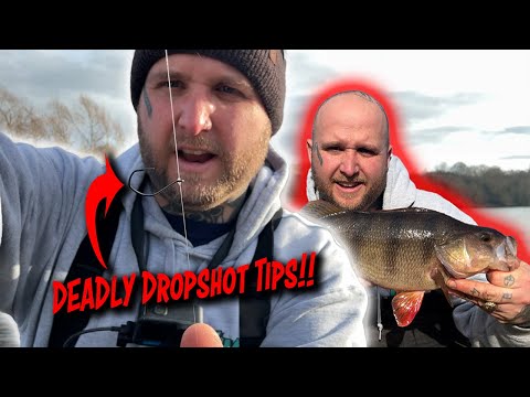 How To Catch BIG Perch On Dropshot!! The Rivers Have FINALLY Recovered!!