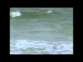 Raffi Down By The Bay Flv