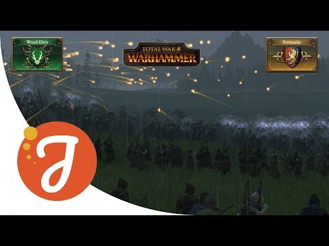Wood Elves Vs Bretonnia | 2v2 Battle Replay #1 | Total War: Warhammer