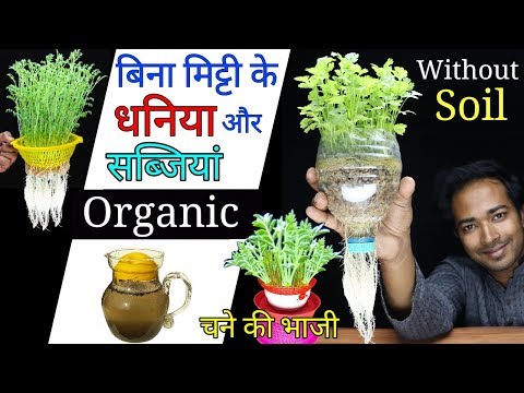 download lagu mp3 mp4 Water Vegetables, download lagu Water Vegetables gratis, unduh video klip Water Vegetables