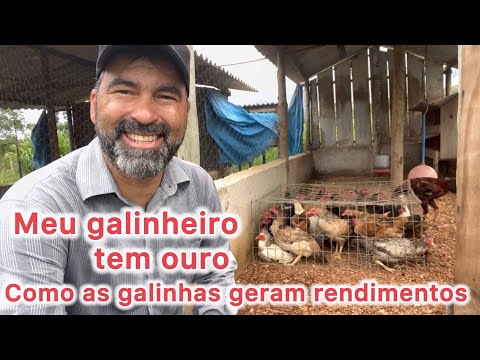 GOLD IN THE CHICKEN COOP: THE HIDDEN WEALTH IN FREE-RANGE CHICKEN RAISING