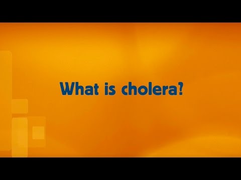 WHO: Cholera - Questions and answers (Q&A)