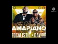 Davido-Ft-Focalistic-Champion-Sound (Official Audio)