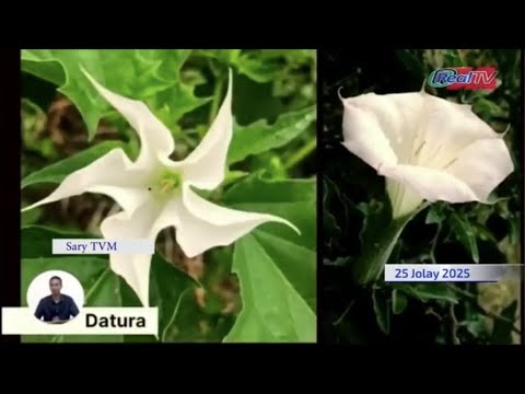 #Madagascar 2025 | #Rétrospective des drames et des faits de société qui ont bouleversé le pays