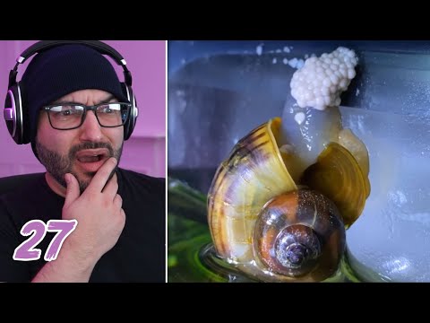 Mikey Reacts To Daily Dose Of Internet EP 27