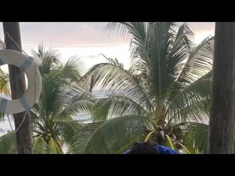 Ranirastaciti: life I'm living is dangerous