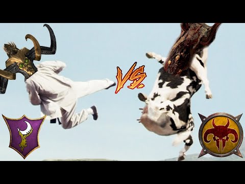 BULL ON PARADE | Dark Elves vs Beastmen - Total War Warhammer 3