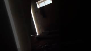 Download lagu 16 Februari 2020 mp3 Download lagu 16 Februari 2020 mp3