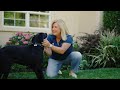 Play Video: A Lifetime of Dog Training Support