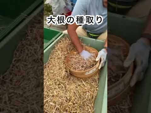 種子 (農業) - 定義