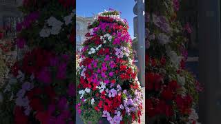 Download lagu CIty of madrid mp3 Download lagu CIty of madrid mp3