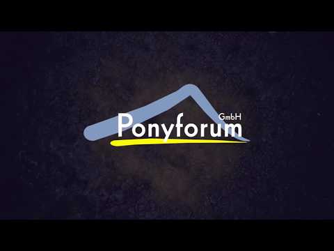 12j. brauner Wallach v. Kennedy WE – Diamant II