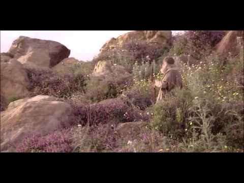 Prispodoba o izgubljenoj ovci