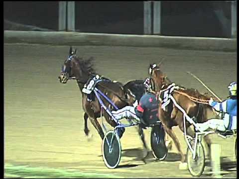 Trotto 01/12/2015 - 6° corsa