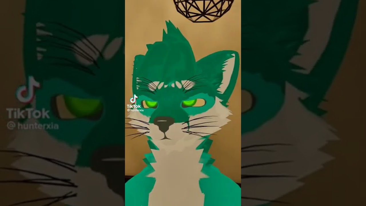 I've fucking had it hilarious tiktok finds