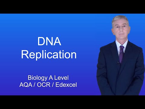A Level Biology Revision "DNA Replication"