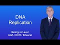 A Level Biology Revision DNA Replication