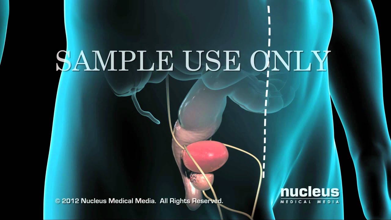 Jose G. Sierra Sosa-4