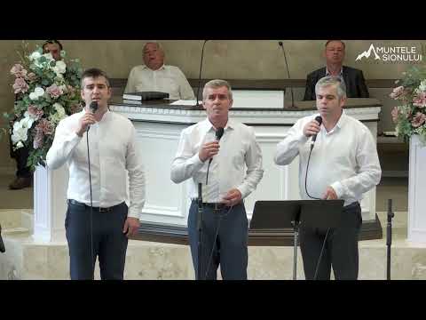 Dă-ne înțelepciune - Frații JUCU