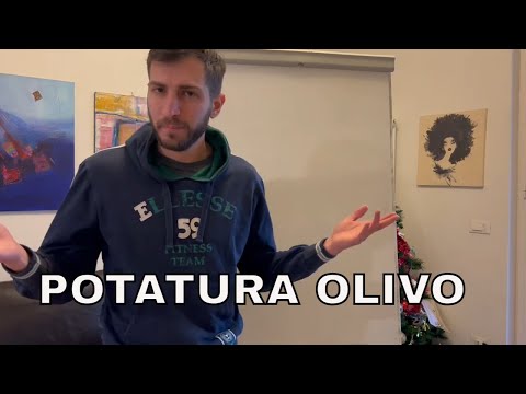 Video corso potatura olivo