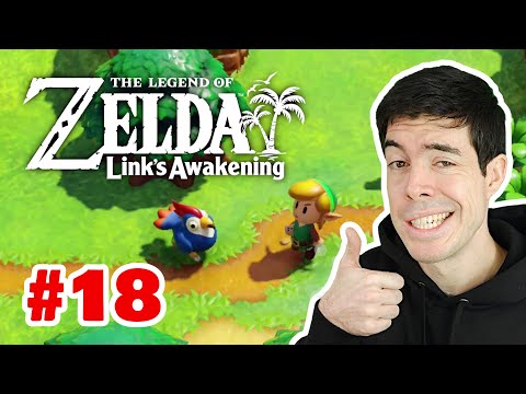Legend of Zelda Link's Awakening Let's Play - The Bird Key, Eagle's Tower & Manbo's Mambo (Part 18)