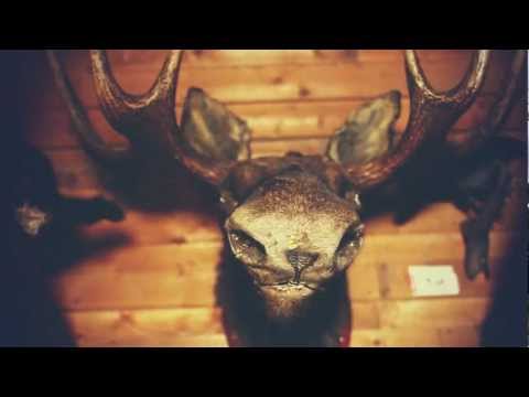 download lagu mp3 mp4 Gasellit Keikat, download lagu Gasellit Keikat gratis, unduh video klip Gasellit Keikat