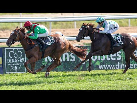 Köln: Dinger's Gartencenter Köln - Winterkönigin Trial 2024 Siegerin: Goldaue