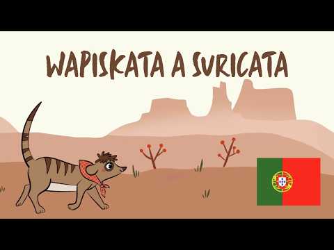 Wapiskata a suricata (Português) l PAPELMACHEKIDS (Videolyric)