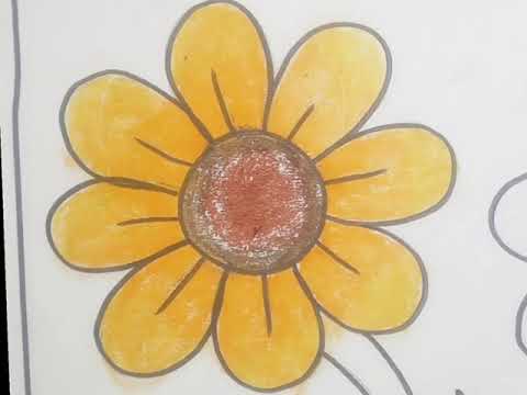 Basic drawing of flowers |Flowers drawing for beginners |Flowers drawing with colouring