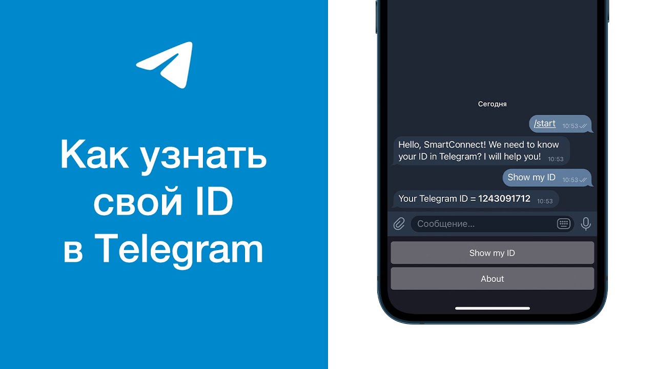 Как узнать свой ID в Telegram