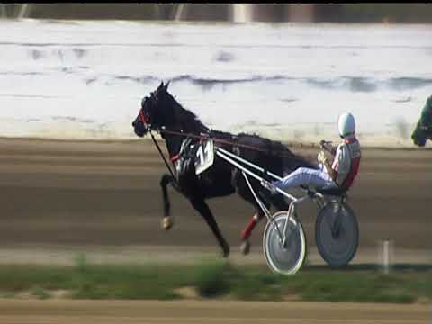 Trotto 14/09/2018 - 3ª corsa