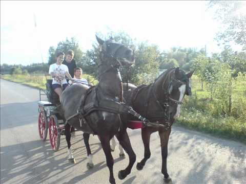 TS milenij -ima dado vranca dva